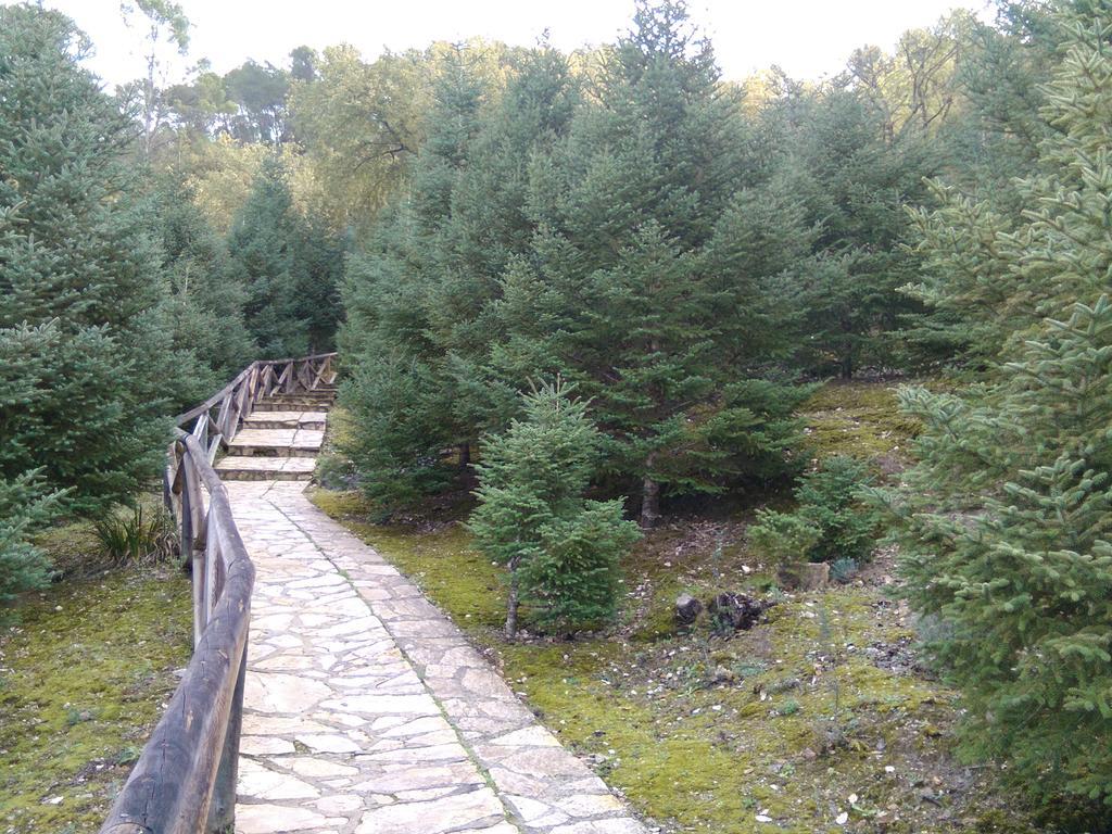 Maison d'hôtes Casa Paco à El Bosque Extérieur photo